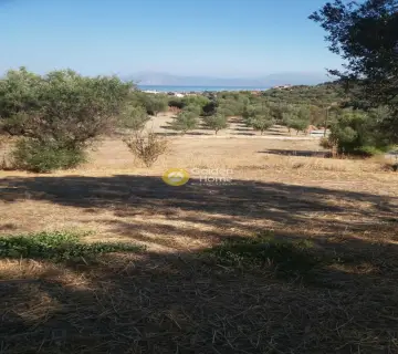 Residential 4488m<sup>2</sup> for sale photo 2822383