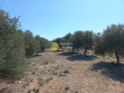 Residential 5800m<sup>2</sup> for sale photo 4114414