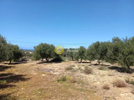 Residential 5800m<sup>2</sup> for sale photo 4114415