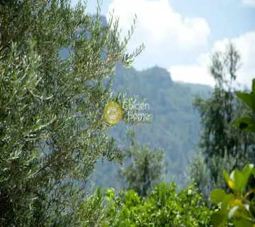 Μεζονέτα Ανεξάρτητη 132τ.μ. προς πώληση φωτογραφία 2828990