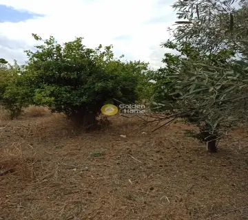 Professional Plot 5475m<sup>2</sup> for sale photo 2829771