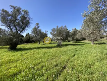 Parcel 19113m<sup>2</sup> for sale photo 3544426