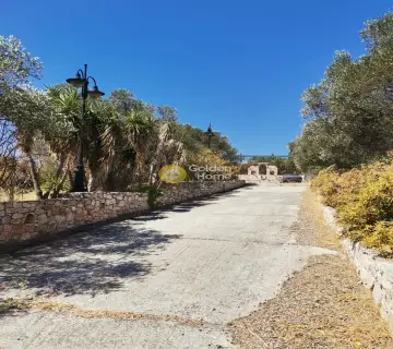 Μονοκατοικία 658τ.μ. προς πώληση φωτογραφία 10