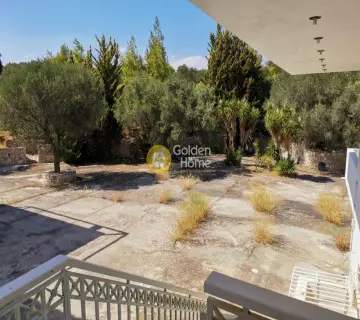 Μονοκατοικία 658τ.μ. προς πώληση φωτογραφία 25