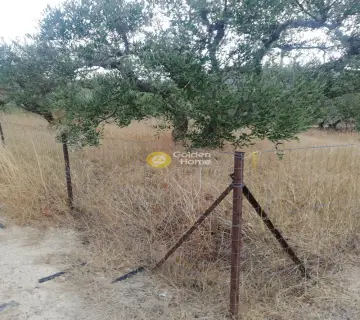 Area 600m<sup>2</sup> for sale photo 2835807