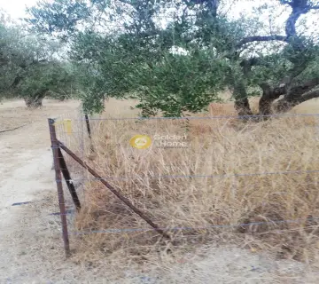 Area 600m<sup>2</sup> for sale photo 2835807