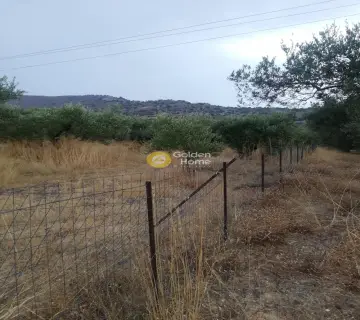 Area 600m<sup>2</sup> for sale photo 2835808