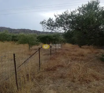 Area 600m<sup>2</sup> for sale photo 2835809
