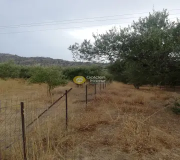 Area 600m<sup>2</sup> for sale photo 2835809
