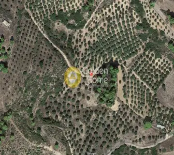 Professional Plot 40000m<sup>2</sup> for sale photo 1