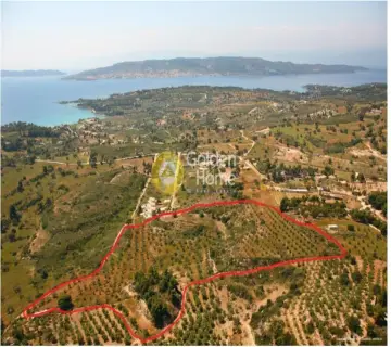 Professional Plot 40000m<sup>2</sup> for sale photo 2