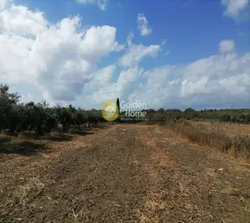 Parcel 900m<sup>2</sup> for sale photo 2838045