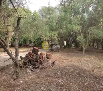 Οικιστικό 2260τ.μ. προς πώληση φωτογραφία 2
