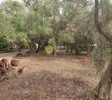 Οικιστικό 2260τ.μ. προς πώληση φωτογραφία 1