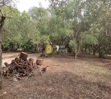 Οικιστικό 2260τ.μ. προς πώληση φωτογραφία 6