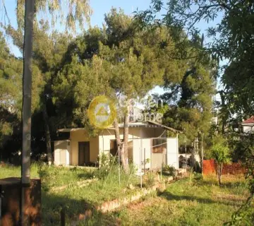 Οικιστικό 1010τ.μ. προς πώληση φωτογραφία 3