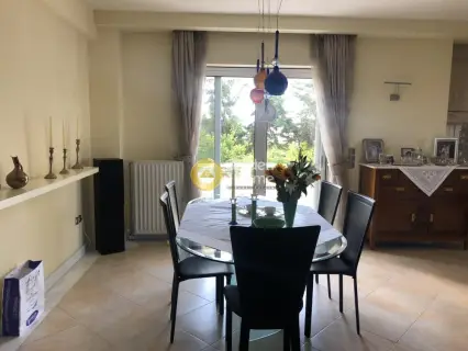 Μονοκατοικία 385τ.μ. προς πώληση φωτογραφία 10
