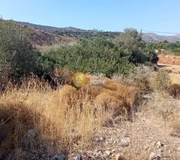 Parcel 2800m<sup>2</sup> for sale photo 5