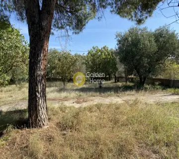 Parcel 1565m<sup>2</sup> for sale photo 2857160