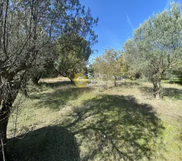 Parcel 1565m<sup>2</sup> for sale photo 2857164