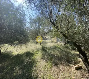 Parcel 1565m<sup>2</sup> for sale photo 2857177