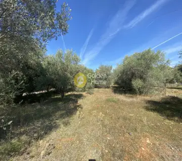 Parcel 1565m<sup>2</sup> for sale photo 2857179