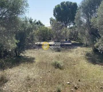 Parcel 1565m<sup>2</sup> for sale photo 2857180