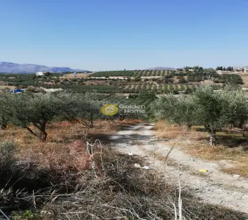 Residential 6000m<sup>2</sup> for sale photo 2857950