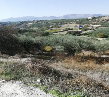 Residential 6000m<sup>2</sup> for sale photo 2857952