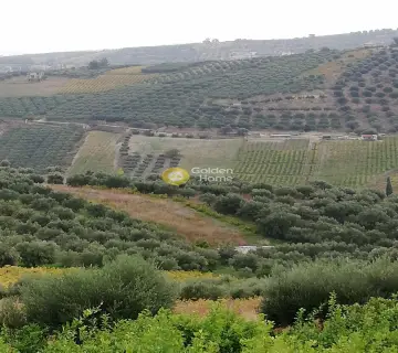 住宅 9500m<sup>2</sup> for sale photo 2