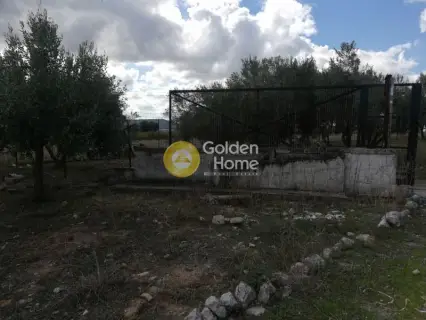 Industrial 1000m<sup>2</sup> for sale photo 14