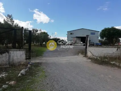 Industrial 1000m<sup>2</sup> for sale photo 5