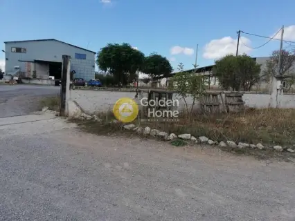 Industrial 1000m<sup>2</sup> for sale photo 12