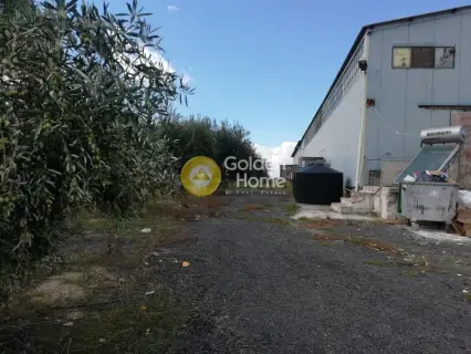Industrial 1000m<sup>2</sup> for sale photo 8
