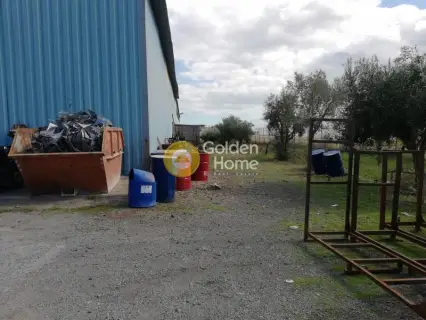 Industrial 1000m<sup>2</sup> for sale photo 17