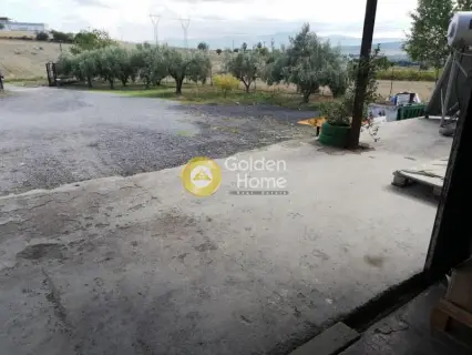 Industrial 1000m<sup>2</sup> for sale photo 19