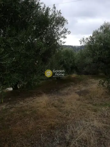 Parcel 3500m<sup>2</sup> for sale photo 4