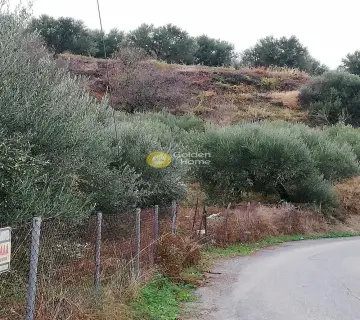 Residential 5000m<sup>2</sup> for sale photo 3