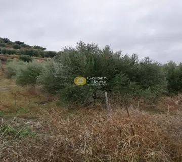 Residential 5000m<sup>2</sup> for sale photo 5