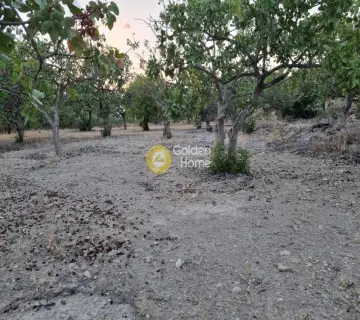 Parcel 1829m<sup>2</sup> for sale photo 3