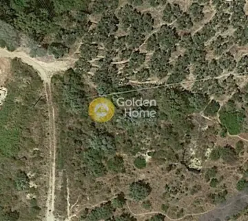 Residential 4000m<sup>2</sup> for sale photo 3284902