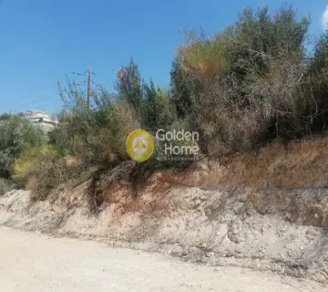 Residential 4000m<sup>2</sup> for sale photo 2