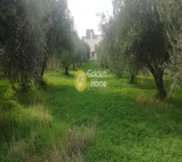 Golden Home Property Image