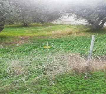 Residential 1072m<sup>2</sup> for sale photo 9