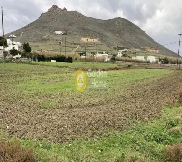 土地 4016m<sup>2</sup> for sale photo 4583664