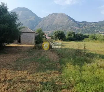 Residential 1050m<sup>2</sup> for sale photo 1