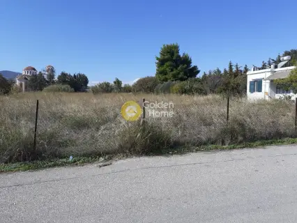 Residential 1300m<sup>2</sup> for sale photo 3