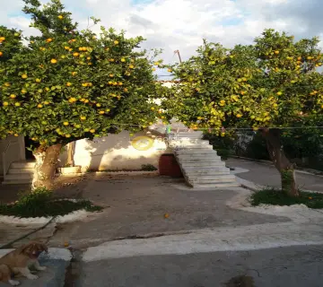 Golden Home Property Image