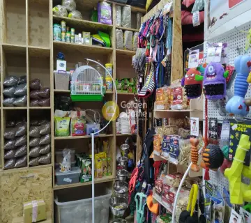 Golden Home Property Image