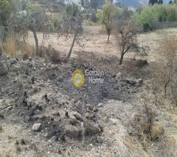 Residential 1000m<sup>2</sup> for sale photo 3